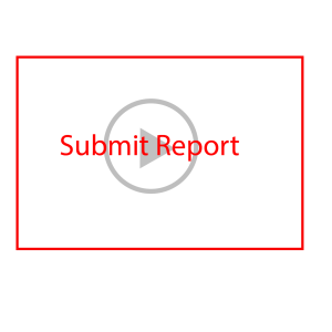 Submit Report